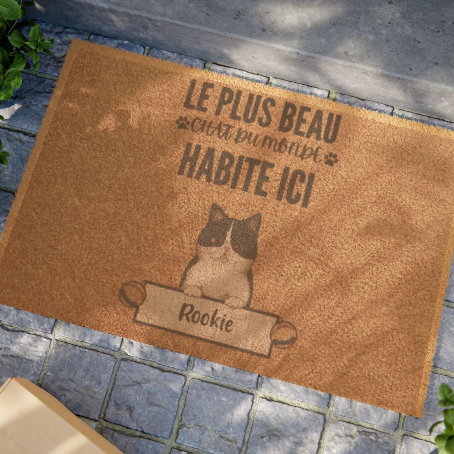 Tapis-Exterieur-Personnalise-Avec-Chat