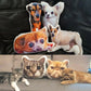 Personalized face pillow​